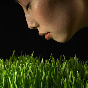 Turf Cleaning 