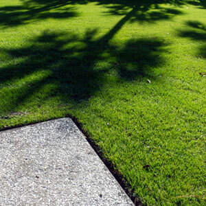 A Thick Carpet Of Zoysia Grass And An Oyster Shell Tabby Pathway